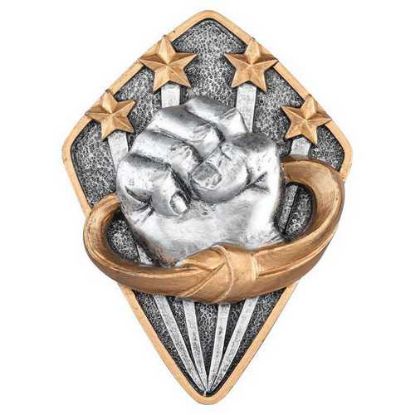 Picture of Pewter~gold Diamond Disc Martial Arts