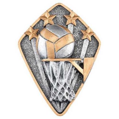 Picture of Pewter~gold Diamond Disc Netball