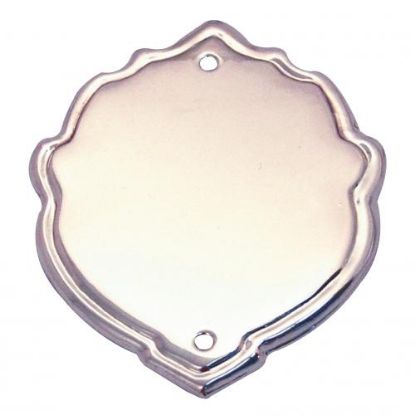 Picture of Chrome Record Shield