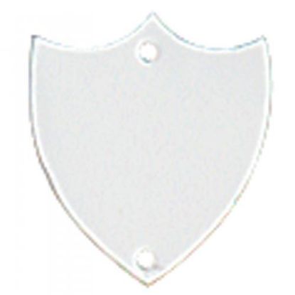 Picture of Chrome Flat Record Shield