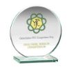 Picture of Jade Glass Round Plaque (10mm Thick) - 6.25in