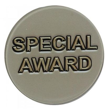 Picture of Acrylic Centre Special Award